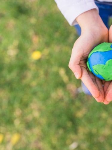 Día Mundial del Medio Ambiente: Rapicredit y su compromiso verde